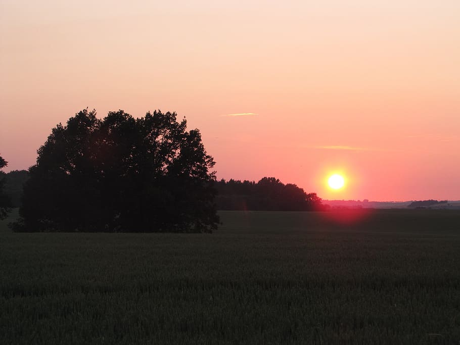 Sunset, Afterglow, Rest, Evening, sky, red, background, twilight HD wallpaper