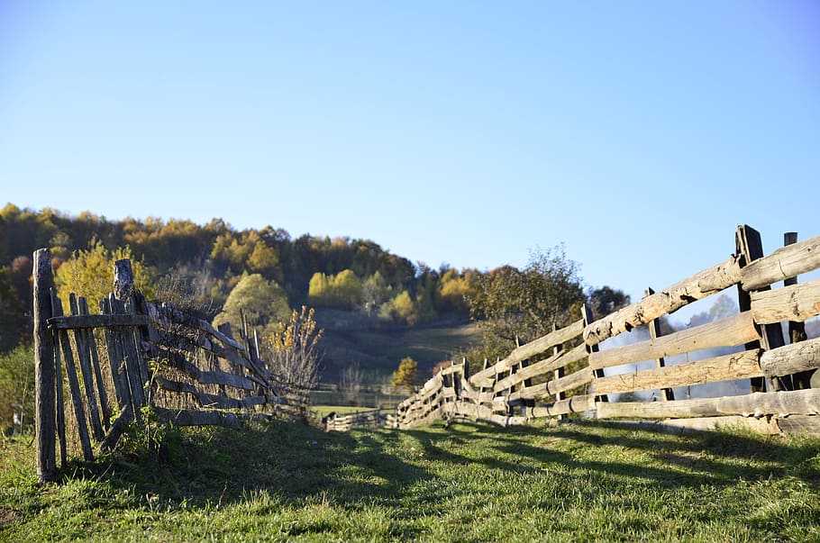 green grass field with wooden fence, brown wooden fence on farm HD wallpaper