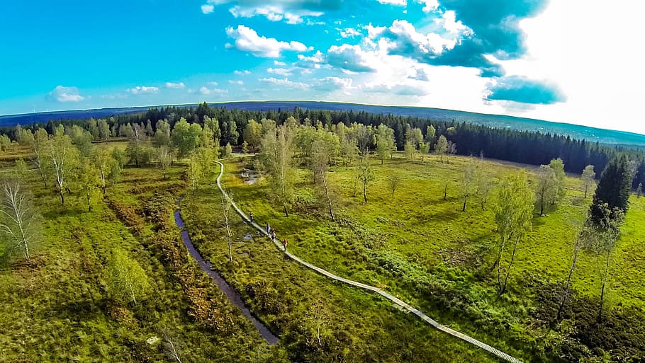 Moor, Walk, Nature, Eifel, Mood, landscape, moorland, nature reserve HD wallpaper