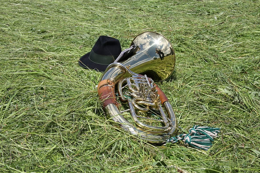 silver musical instrument on grass, horn, tuba, blowers, gloss