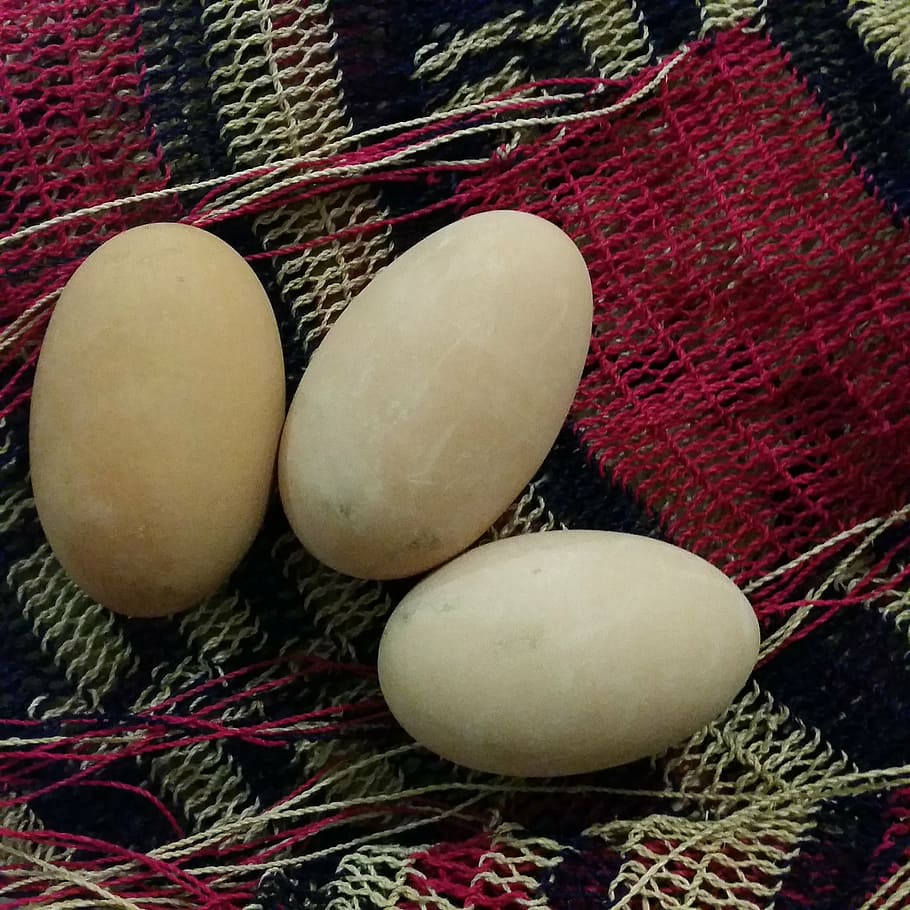 papua, new, guinea, eggs, food, culture, nutrition, cuisine HD wallpaper