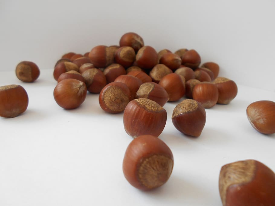filbert, hazelnut, nuts, white background, still life, studio shot HD wallpaper