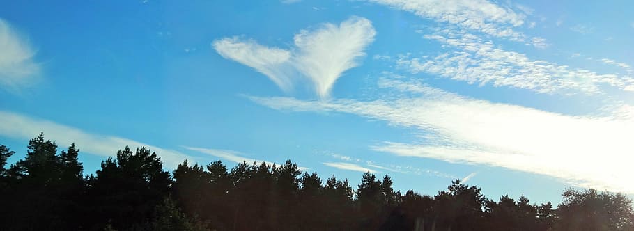 heart, cloud, sky, angel, heart shaped, background, greeting card HD wallpaper