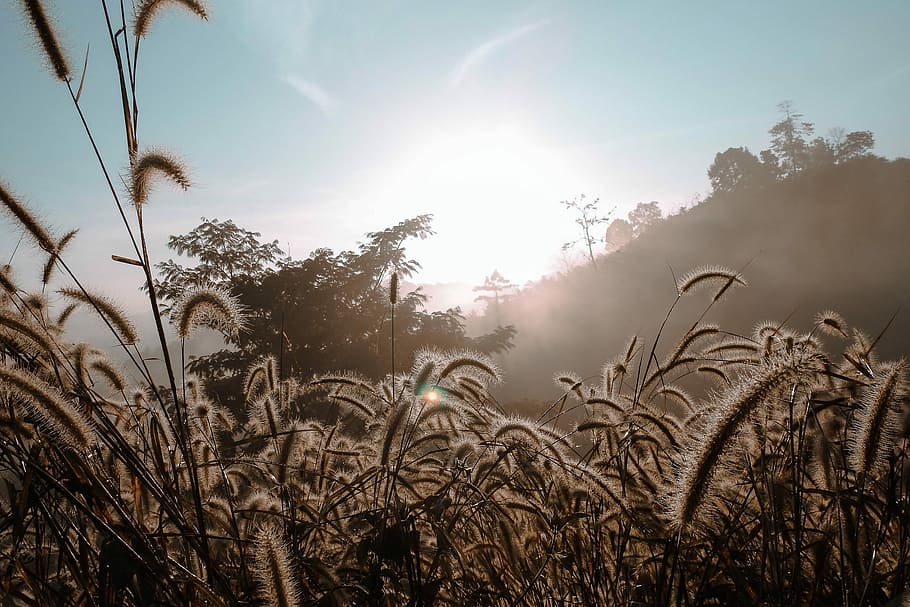 nature, sky, sun, summer, sunset, outdoor, beautiful, season HD wallpaper