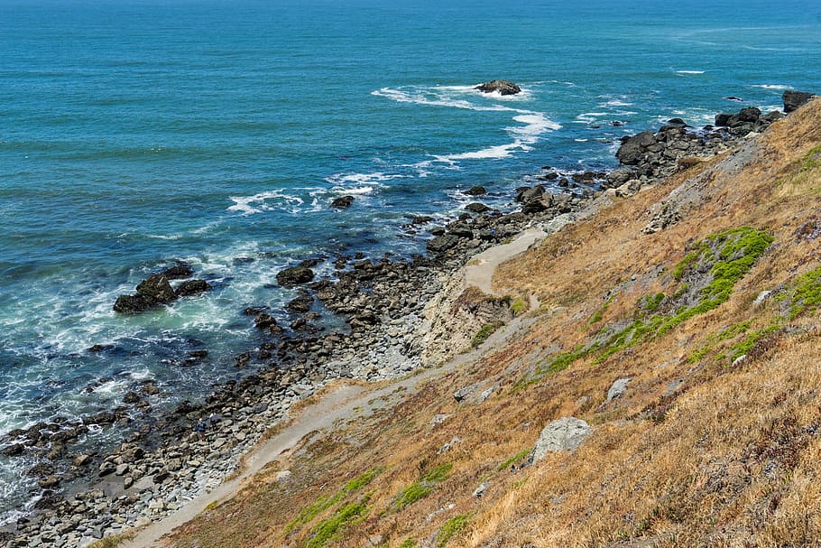 seashore, walk, path, summer, pacific, ocean, coast, leisure HD wallpaper