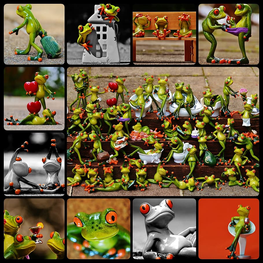 Frogs, Collage, Figures, Cute, funny, backgrounds, variation HD wallpaper