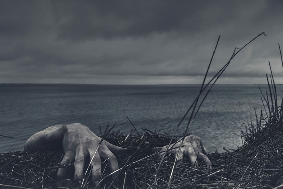 closeup photo of person's hand, person climbing on hill with grass near the ocean HD wallpaper