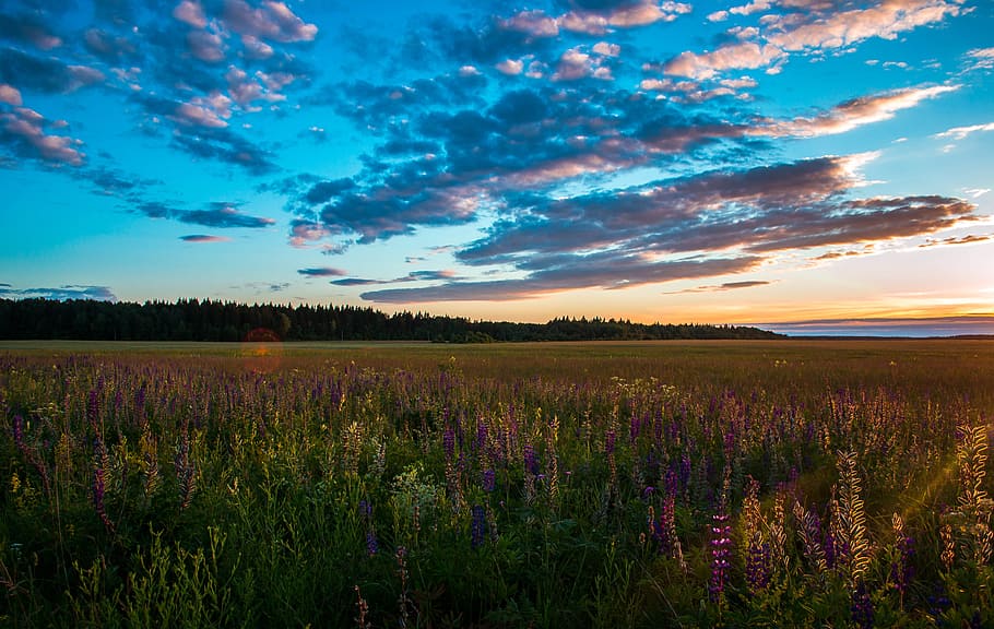 Green Meadows Near Mountain Under Calm Sky, blue sky, bright HD wallpaper