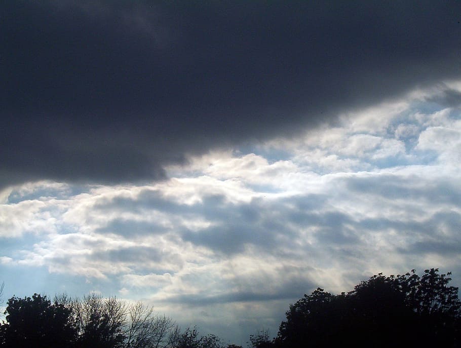 clouds, sky, storms, trees, silhouette, dark, branches, leaves HD wallpaper