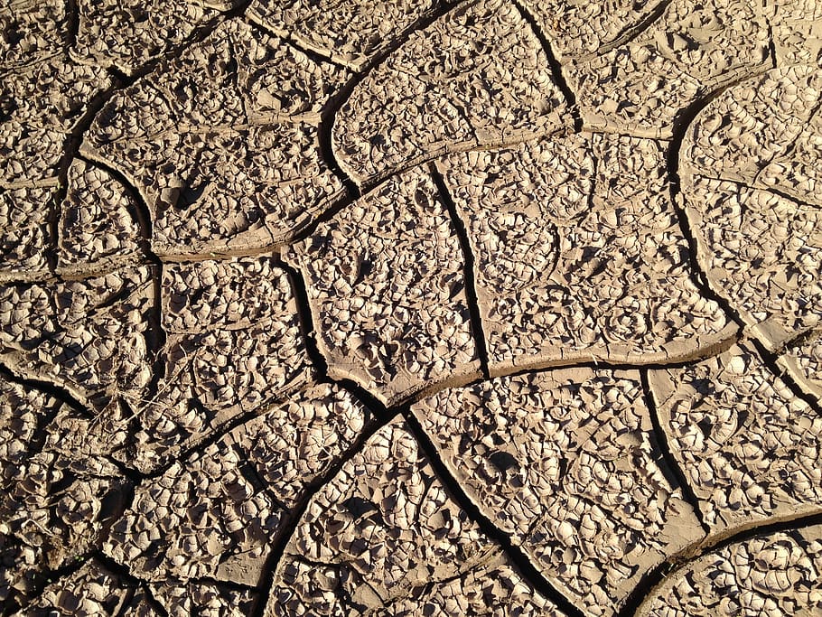 drought, earth, dry, aridity, quartered, soil, full frame, backgrounds HD wallpaper