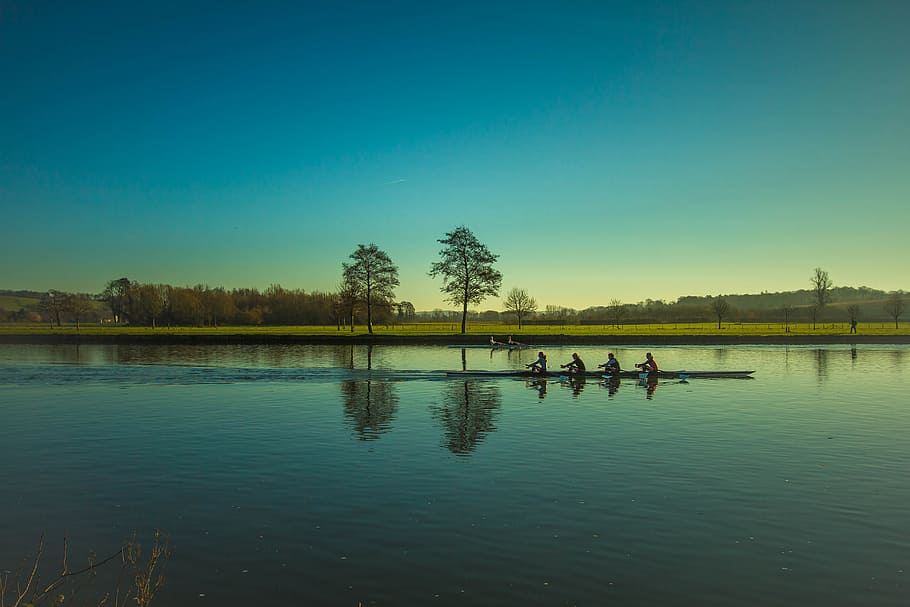 four people in boat in front of tall tees, boating, rowing HD wallpaper