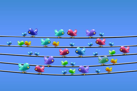 flock of bird standing in black wire graphic illustration, twitter HD wallpaper