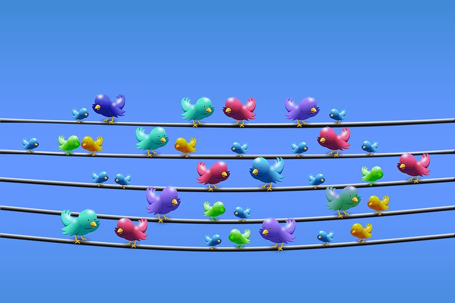 HD wallpaper: flock of bird standing in black wire graphic illustration, twitter - Wallpaper Flare