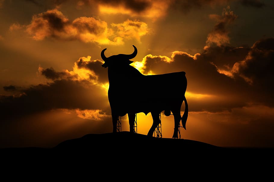 silhouette of a bull during dawn, osborne, spain, mallorca, summer