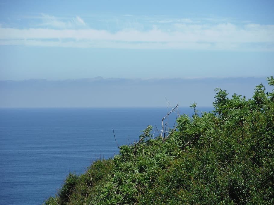 spain, sea, side, water, scenics - nature, plant, beauty in nature HD wallpaper