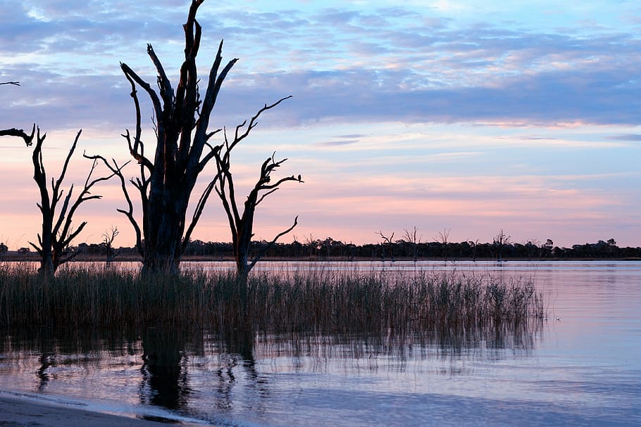 river, australia, scenic, evening, water, relax, sunset, dusk HD wallpaper