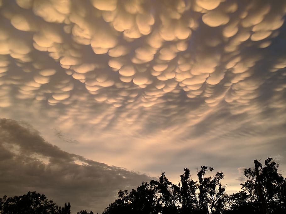 kansas, clouds, sky, cloud - sky, plant, tree, beauty in nature HD wallpaper