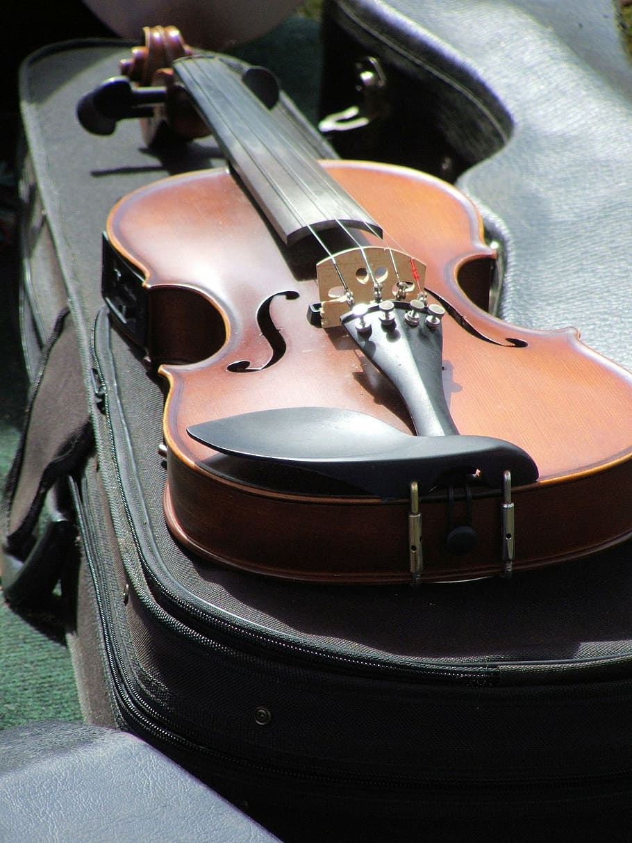 brown violin on bag during daytime, instrument, music, string, HD wallpaper