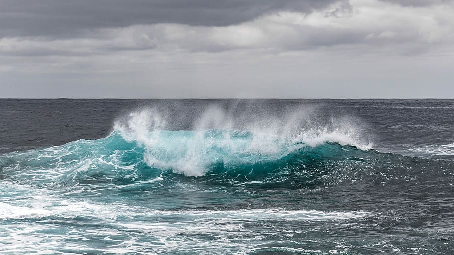 Cresting Waves in the ocean, photo, public domain, sea, seascape, HD wallpaper