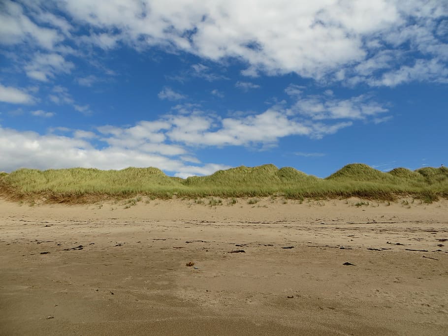 dunes, beach, sky, clouds, baltic sea, summer, sand, grasses HD wallpaper