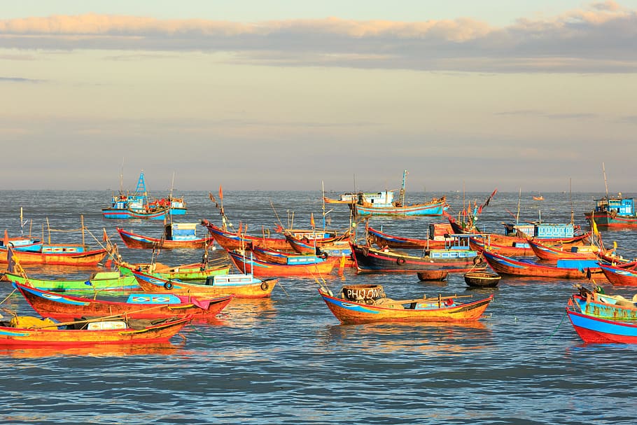 orange boats on body of water during golden hour, fishing, the boat