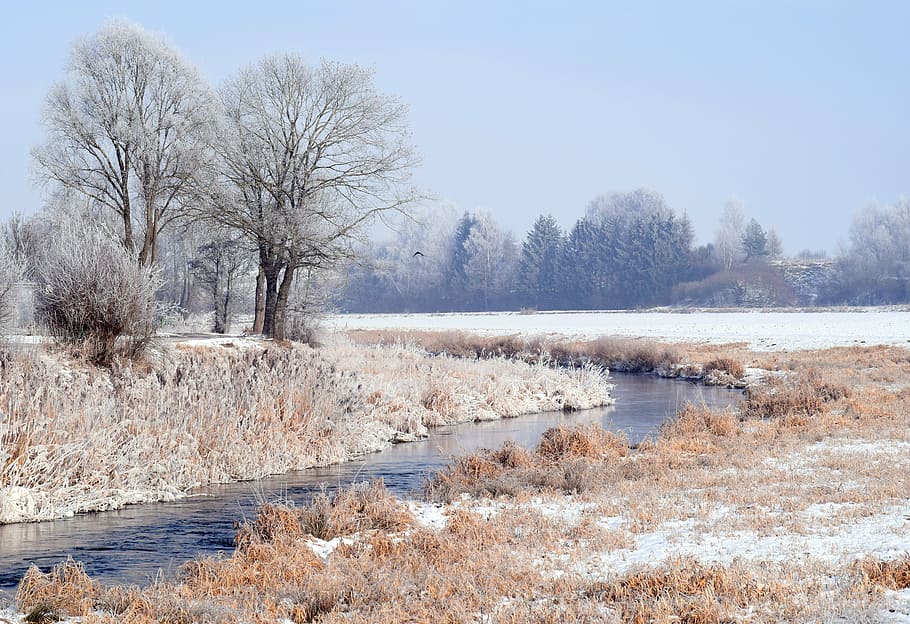 brown grass beside body of water, winter, river, nature, snow HD wallpaper