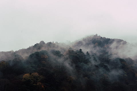 aerial photography of mountain, fog covered mountain photo, Arashiyama HD wallpaper