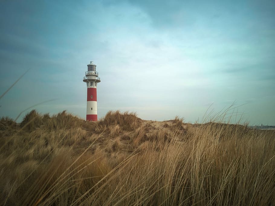 green grass overlooking white and red lighthouse under white and blue cloudy skies at daytime HD wallpaper