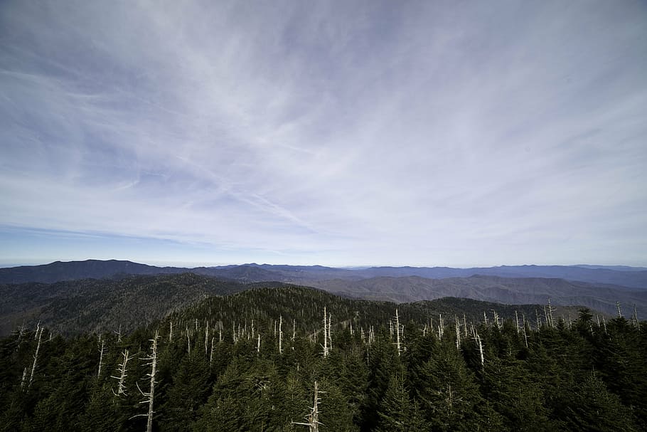 hills, mountains, sky, forest, trees, landscape, scenic, nature HD wallpaper