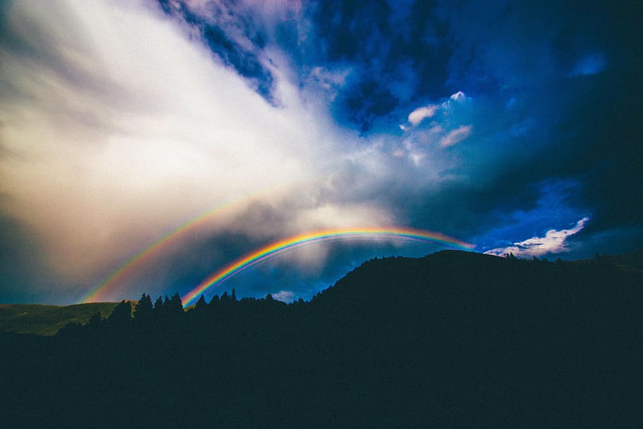 silhouette photo of forest under rainbow, night, time, sky, clouds, HD wallpaper