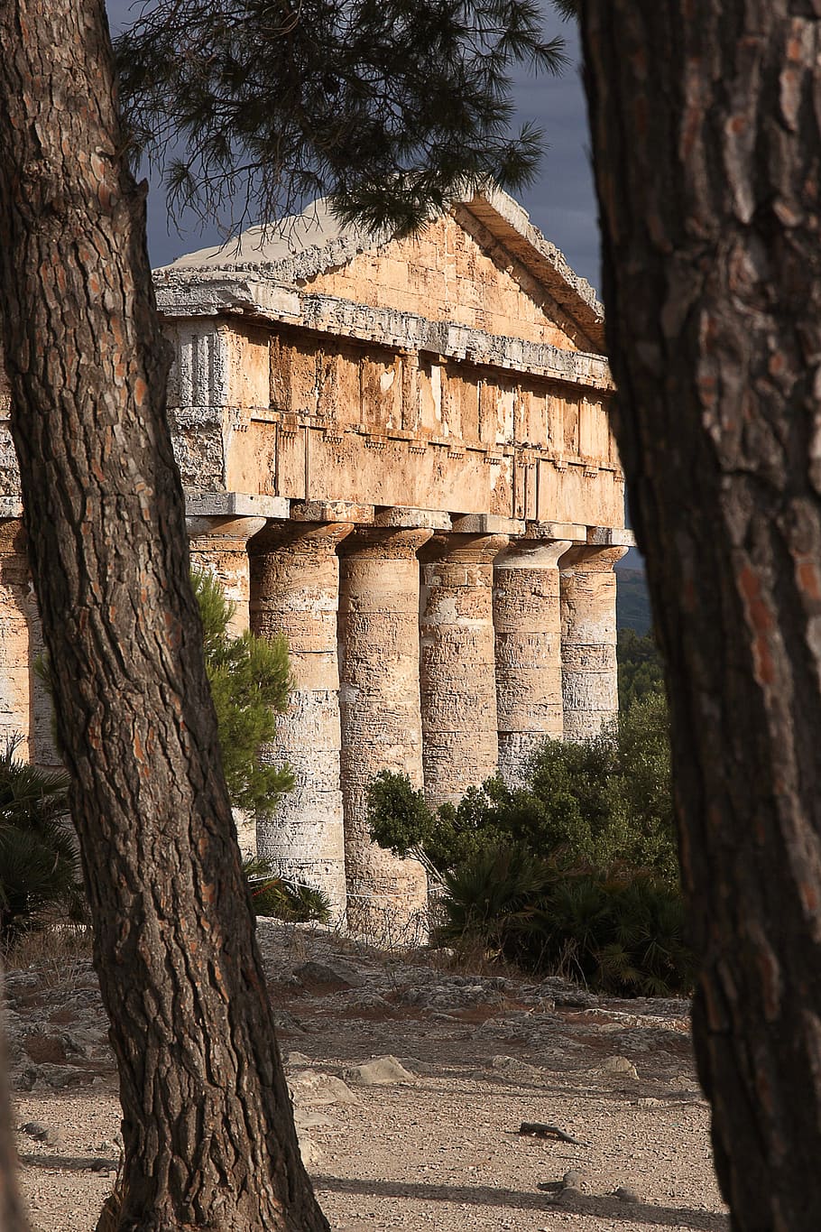 segesta, sicily, temple, tree, plant, architecture, built structure HD wallpaper