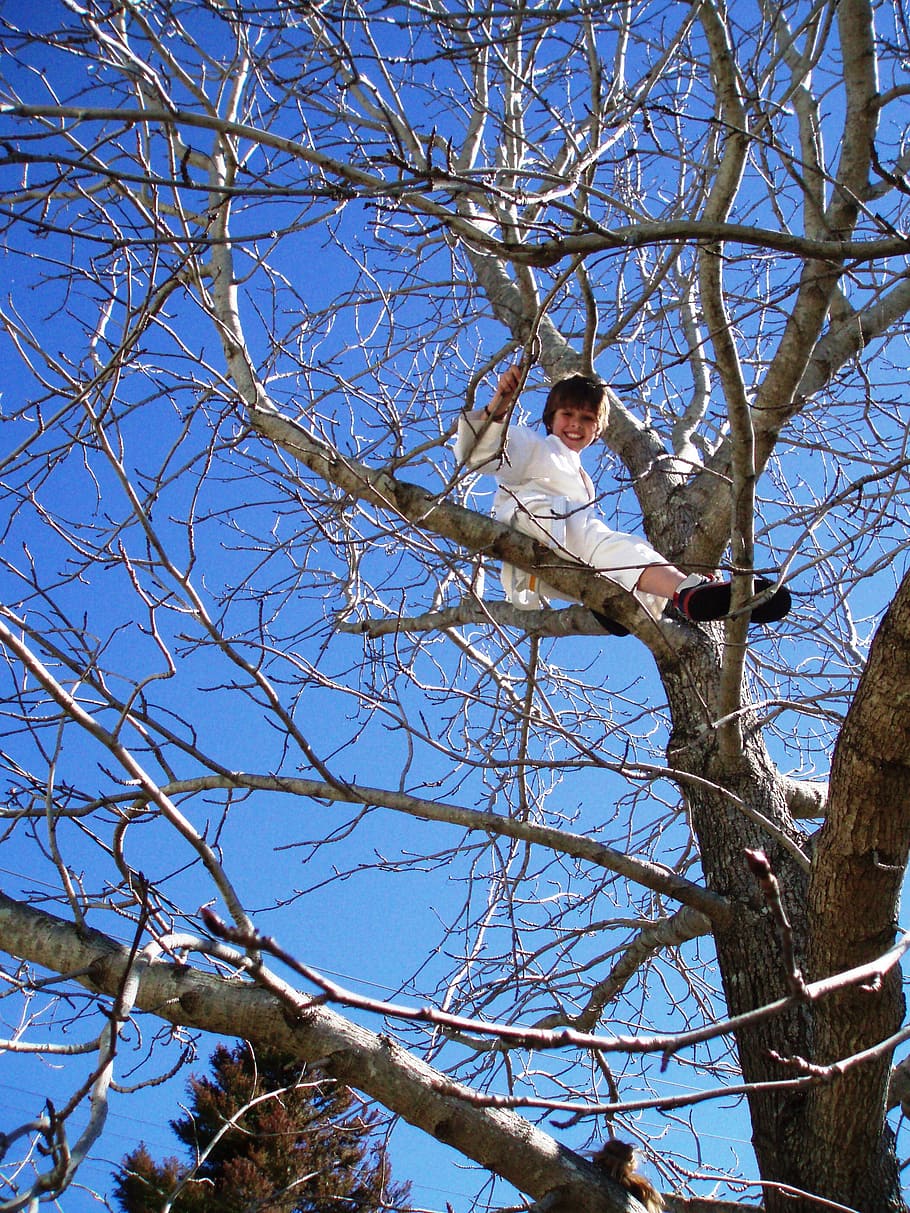 tree climbing, boy, nature, winter, scenic, cold, white, natural HD wallpaper