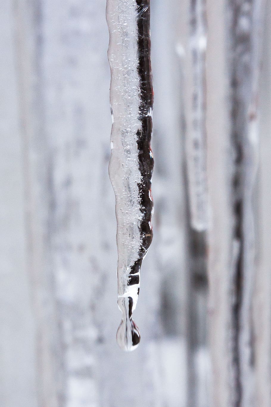 ice, icicle, drip, cold, winter, white, defrost, snow, frozen, HD wallpaper