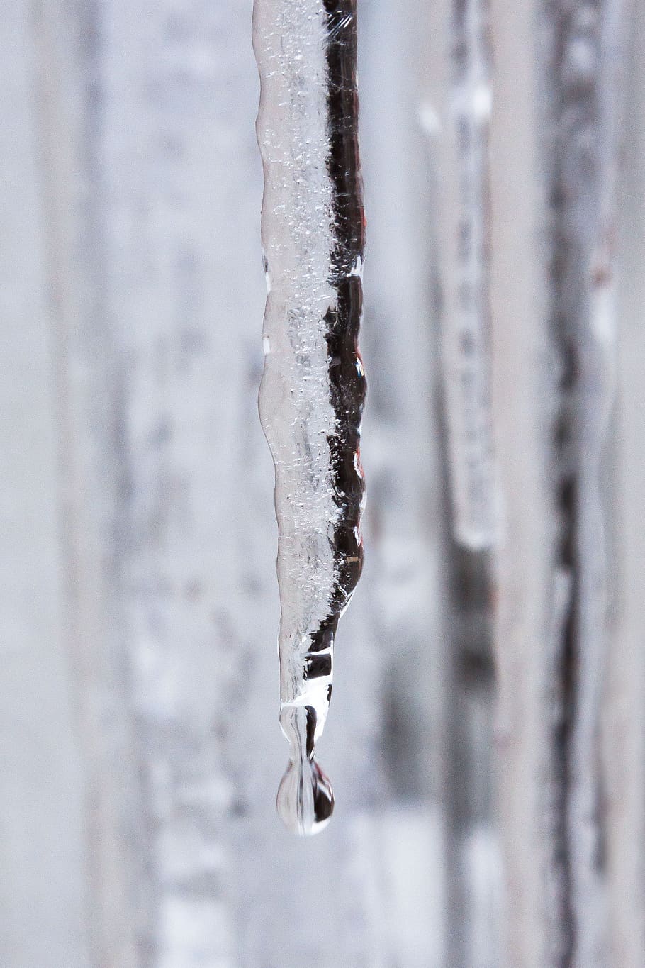 ice, icicle, drip, cold, winter, white, defrost, snow, frozen HD wallpaper