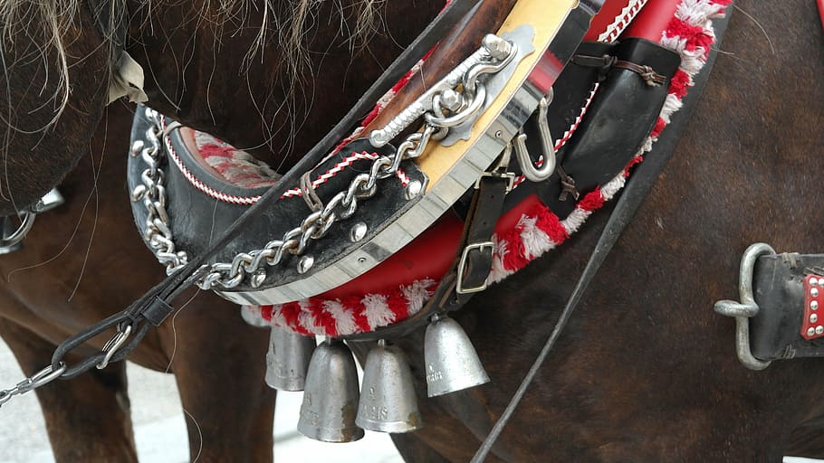 harness for horses, reins, animals, ride, draft horse, pageant, HD wallpaper