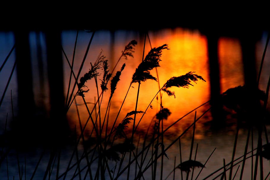 sunset, water, cane, reflection, orange, bridge, shadow, silhouette HD wallpaper
