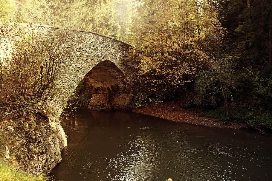 lake between trees, bridge, autumn, rivers, flowing, water HD wallpaper