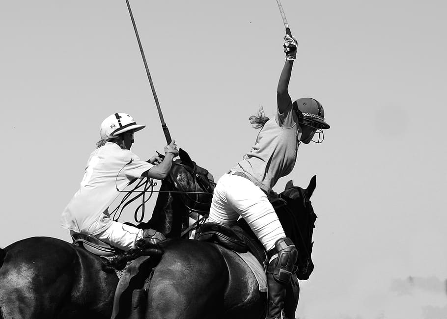 two women riding horses, polo, sport, rider, game, play, equestrian