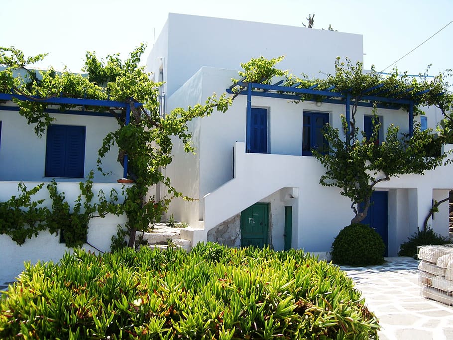 white and blue concrete structure surrounded with plants, apartment