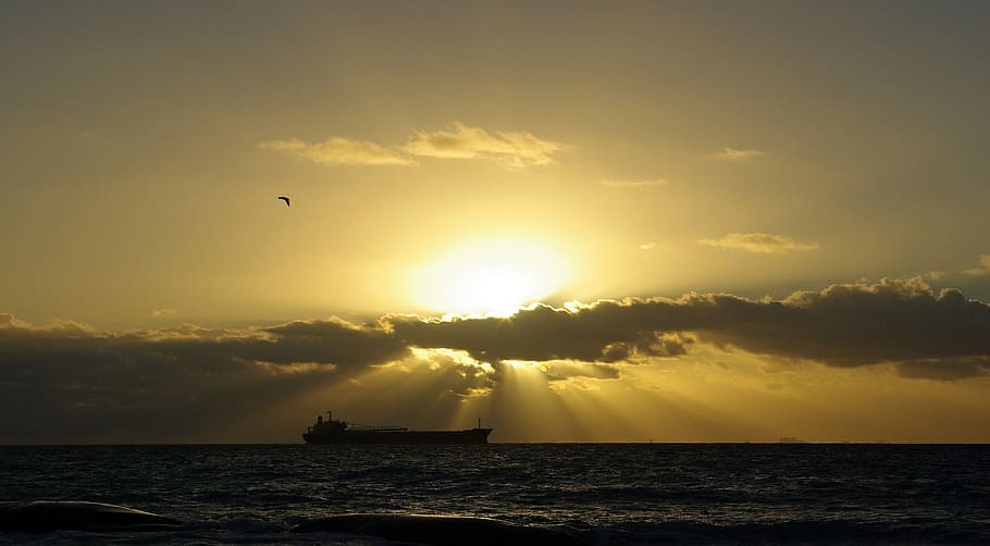 silhouette of ship floating on body of water, cargo ship, sun's HD wallpaper
