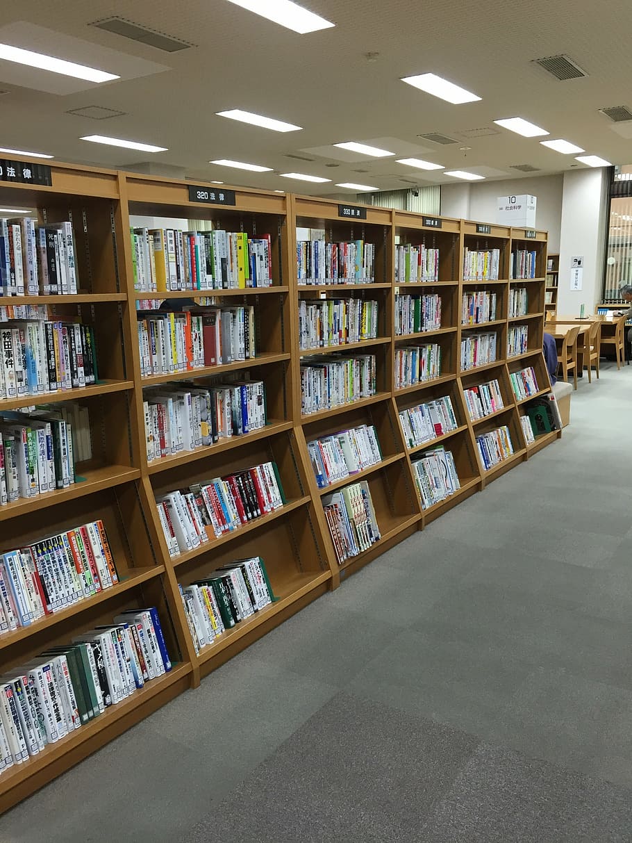 book, library, bookshelf, publication, education, large group of objects HD wallpaper