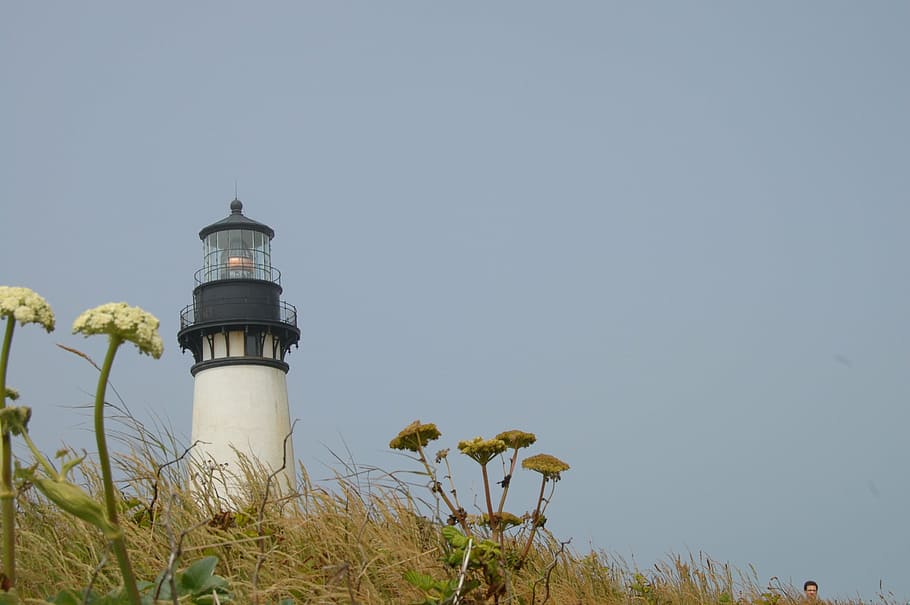 lighthouse, beacon, building, tower, usa, oregon, sky, guidance HD wallpaper