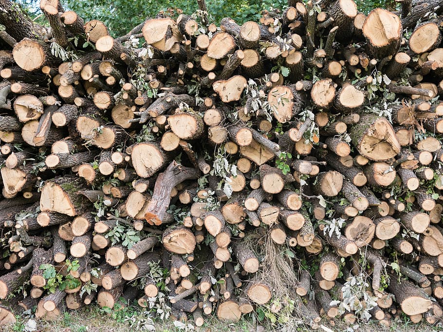 Firewood, Nature, Texture, Natural, trunk, pile, woodpile, rural HD wallpaper
