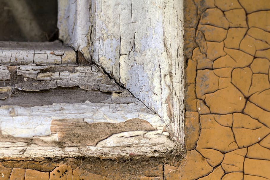 door, window, old, wood, holztue, old paint, cracked, nature HD wallpaper