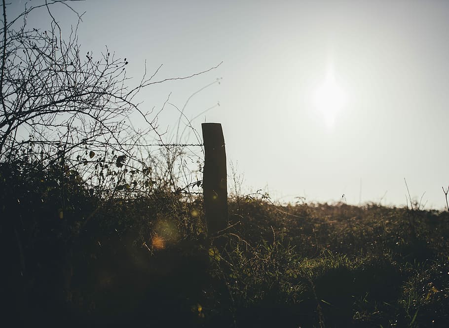 Countryside Late Afternoon, photo of wooden fence and grass, field HD wallpaper