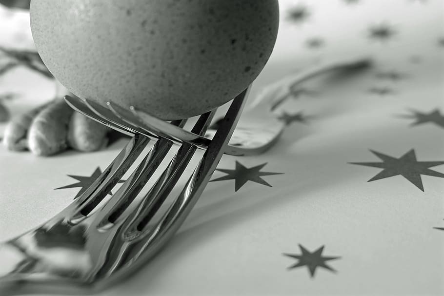 fork, egg, cutlery, food, origin of life, nutrition, frisch HD wallpaper