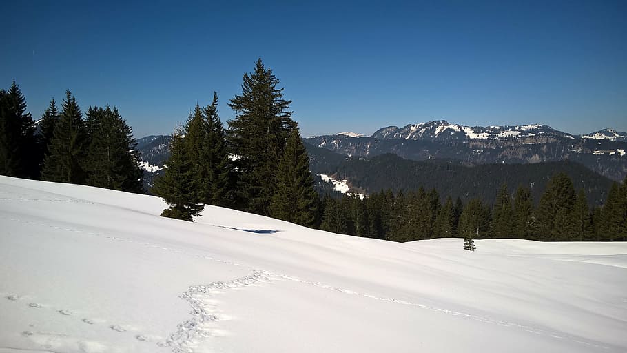 snow, mountains, trees, conifers, sky, nature, winter, landscape HD wallpaper