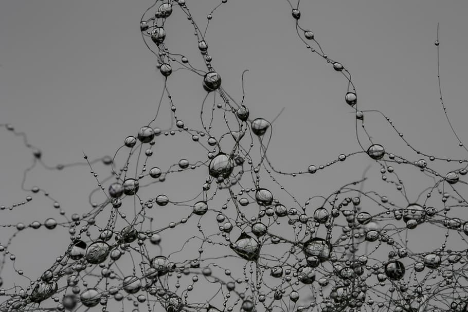 drop, network, synapse, pearl, gray, raindrop, villa, nature