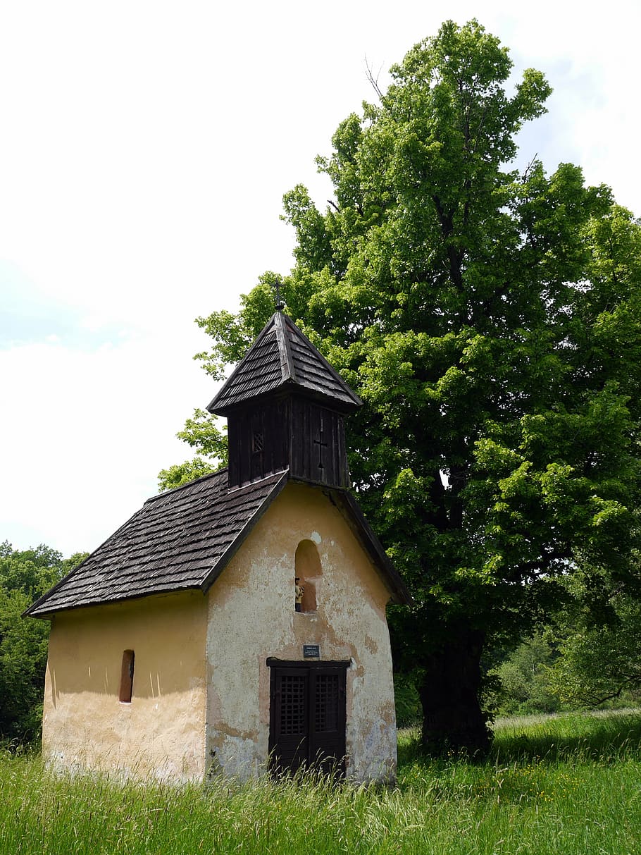chapel, tree, grass, slovakia, tribeca, church, plant, built structure, HD wallpaper
