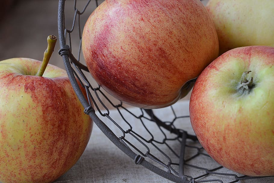 apple, bio apple, fruit, healthy, food, frisch, eat, nutrition HD wallpaper